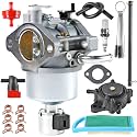 Carburetor for 14hp 15hp 16hp 17hp 17.5hp 18hp Single Cylinder Engine Replace 594605 792768 591734 594603 Carb with Air Filter and Fuel Pump