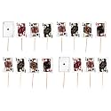 Card Party Casino Tooth Picks - 16PC
