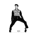 Cardboard People Elvis Presley Foam-Core Cutout - Collector's Edition