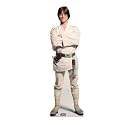 Cardboard People Luke Skywalker Cardboard Cutout - Star Wars