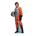 Cardboard People Luke Skywalker Rebel Pilot Cardboard Cutout - Star Wars