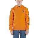 Carhartt Boys Long Sleeve Hooded Sweatshirt