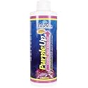 Carib Sea Purple Up Algae Accelerator, 8-Ounce