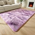 Micro Silk Fiber Soft Handwoven Plain California Premium Shaggy Modern Rug (7x10 feet)