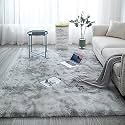 Modern Soft Shaggy Rugs Fluffy Home Decorative for Living Room 2-inch Thick Carpet [Size 3x5 feet]