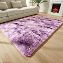 Modern Soft Shaggy Rugs Fluffy Home Decorative for Living Room 2-inch Thick Carpet [Size 3x5 feet]