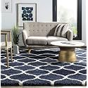 Carpet for Hall Carpet for Living