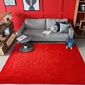 Carpet for Hall Carpet for Living