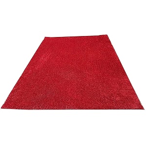 Carpet for Hall Carpet for Living