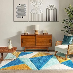 Carpet for Hall Carpet for Living