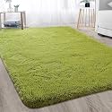 Carpet for Hall Carpet for Living
