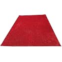 Carpet for Hall Carpet for Living