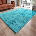 Carpet for Hall Carpet for Living