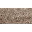 Carpet for Hall Carpet for Living