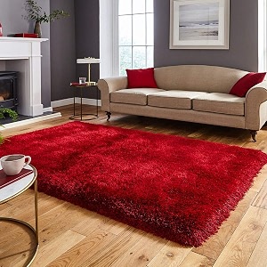 Carpet for Living Room 10x10 Square Feet