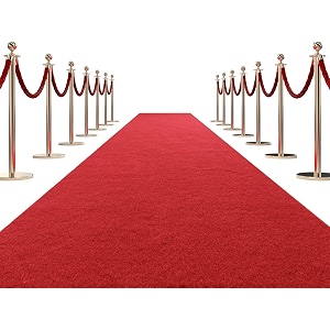 carpet for weddingstageexhibitionpartyofficehotels decorationliving room and wall to wall rectangular carpet size 10 x 30 feetred