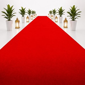 carpet for wedding stage exhibition party office hotels decoration living room and wall to wall carpet size 5 x 70 feet