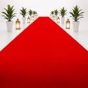 Carpet for Wedding, Stage, Exhibition, Party, Office, Hotels Decoration, Living Room and Wall to Wall Carpet Size 6 x 80 Feet
