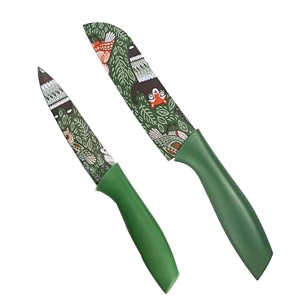 carrot kitchen knife stainless steel 2 pieces professional knife set with color printing and non-slip handle 2 pcs set - green