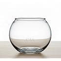 CAS Glass Fish Bowl (W/C (Premium Glass 4 INCH))