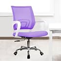 Casa Copenhagen Mesh Mid Back OfficeStudyComputerRevolvingDesk Chair