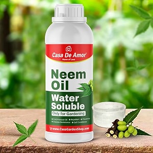 casa de amor neem oil - water soluble organic for easy spray on garden and indoor outdoor plants 500 ml