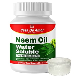 casa de amor neem oil - water soluble organic for easy spray on garden and indoor outdoor plants 100 ml