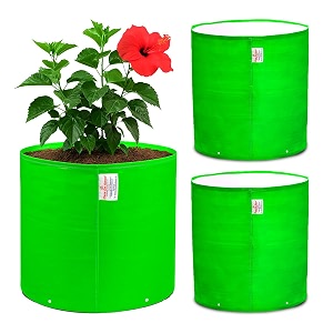 casa de amor premium 15x15 inches hdpe pack of 3 uv protected 260 gsm round plant grow bags suitable for terrace and vegetable gardening 15x15 inches