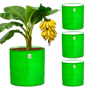 casa de amor premium hdpe grow bag 24x24 inch 4 packs  uv protected 260 gsm round grow bag for terrace gardening ideal for growing large fruits amp flowering plants  green color