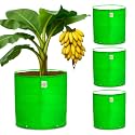 Casa De Amor Premium HDPE Grow Bag 24x24 Inch (4 Packs) – UV Protected 260 GSM Round Grow Bag for Terrace Gardening, Ideal for Growing Large Fruits &amp; Flowering Plants – Green Color