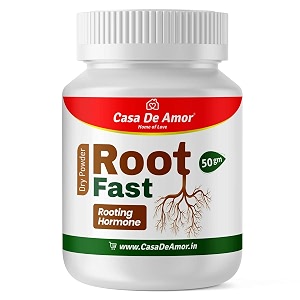 casa de amor root fast rooting hormone promotes rooting grow new plants from cuttings 50 gm white powder