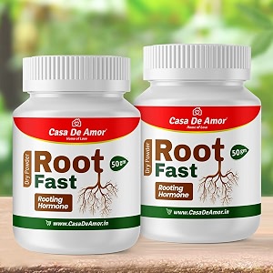 casa de amor root fast rooting hormone promotes rooting grow new plants from cuttings 100 gm white powder
