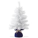 Casafield 2FT Pre-Lit Artificial Mini Christmas Tree, White Tabletop Holiday Tree with White Lights and Velvet Bag Base