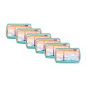 Case-it Clear XL Pencil Case | 6-Pack | PLP-18-VC Iridescent &amp; Mint