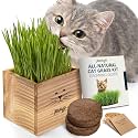 Cat Grass Kit for Indoor Cats – x2 Seed Packets