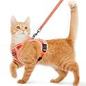 Cat Harness and Leash for Walking Escape Proof Soft Adjustable Cat Leash