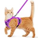Cat Harness and Leash for Walking Escape Proof Soft Adjustable Cat Leash