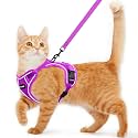 Cat Harness and Leash for Walking Escape Proof Soft Adjustable Cat Leash