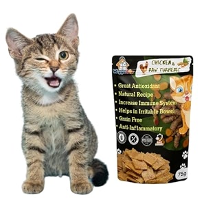 cats natural amp crunchy treats chicken amp raw turmeric rich in protein amp fiber providing a healthy snack 75 grm