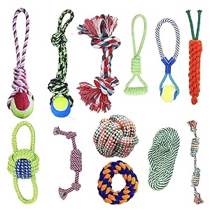 cature care by nature dog chew toy combo of dumble chew toy teether amp latex non-toxic toys rubber ring toy multicolor