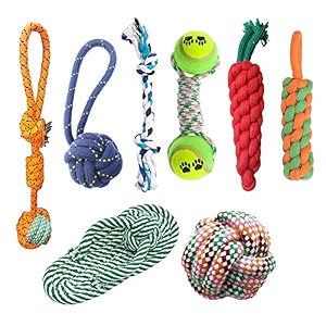 cature care by nature pet chew toy combo of dumble chew toy teether amp latex non-toxic toys rope toy for small medium dog amp puppy color may vary pack 8