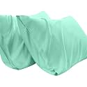 Pillow Covers Set of 2 100% Cotton 750 TC Pillowcases Aqua Blue Queen