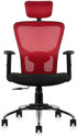 CELLBELL C110 Leo Ergonomic High Back Matt