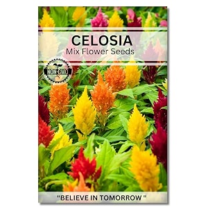 navika seeds  grow with us celosia flower seeds for home gardeningamp terrace gardening winter amp summer blooms in india-includes free e-book for kitchenbackyardgardening amp plantinghigh germination