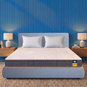 Centuary Mattresses Sleepables Reversible Dual Comfort Firm