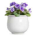 Ceramic African Violet Pot, 8 Inch Self Watering Planter, White