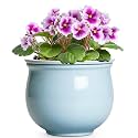 Ceramic African Violet Pots for Indoor Plants, 6 Inch Self Watering Planters with Absorbent Inner Pot, Self Watering Plant Pot, Ceramic Flower Pots, Desk Decor, Housewarming Gifts, Light Blue