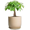 Ceramic Plant Pot - 7 Inch Mid Century Round Ceramic Planter for Indoor Plants with Drainage Hole and Saucer, Modern Home Decor, Yellow