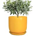 Ceramic Plant Pot 8 Inch, Indoor Planter, Yellow