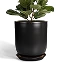 Ceramic Planter 10 Inch - Ceramic Pot for Indoor Plants Outdoor Plant Pot with Drainage Hole and Saucer Cylinder Flower Pot Black